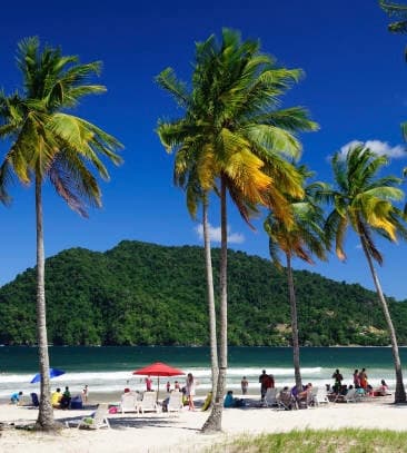 The digital lab printed backdrop of Maracas Beach showing palm trees, white sand, and crystal blue waters